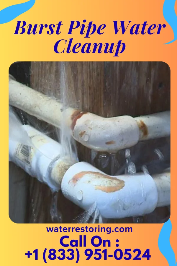 Burst Pipe Water Cleanup in Sidney, MT