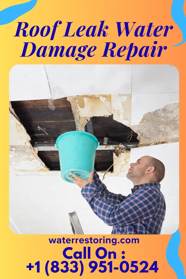 Roof Leak Water Damage Repair in Sidney, MT